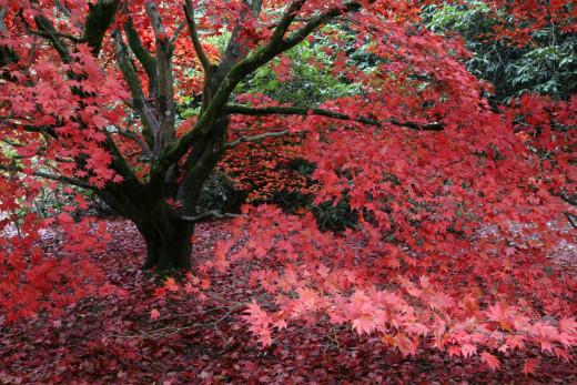 795179 (a): :1920x1280